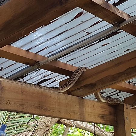 Coral Beach Lodge Port Douglas Esterno foto
